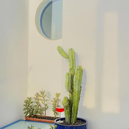 El Patron Casa De Huespedes לינה וארוחת בוקר
